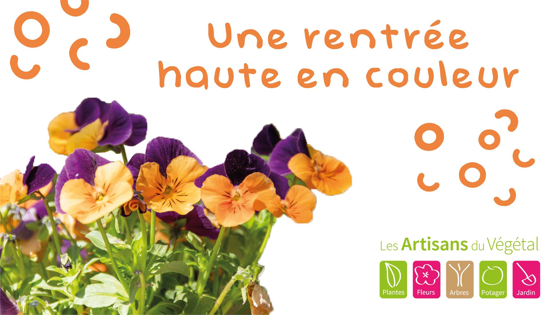 Septembre 2023 HORTI (Une rentrée haute en couleur)